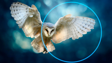 Smart Design Meets Fast Results | Dassault Systèmes