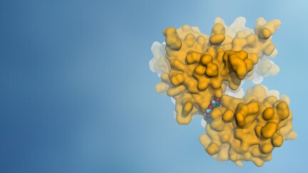 Targeting mGlu7 Receptor using GOLD and Discovery Studio | Dassault Systèmes