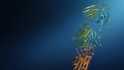 Toward Explainable Affinity Maturation | Dassault Systèmes