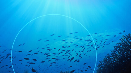 Modernizing Bass Pro – White River Marine Group’s CAD and PLM Solution | Dassault Systèmes