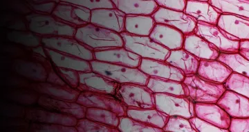 Health from Life > Hero Banner > Dassault Systèmes