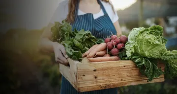 How profitable has your year been so far Hero Banner  > Hero Banner > Dassault Systèmes®