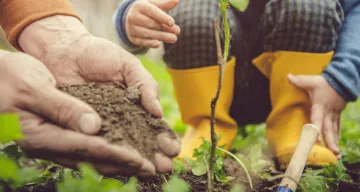 Nature awakening your business too > Hero Banner > Dassault Systèmes®