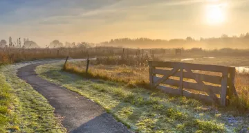 Not Right Time for Hibernation > Hero Banner > Dassault Systèmes