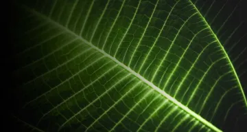 Planet with Life > Hero Banner > Dassault Systèmes