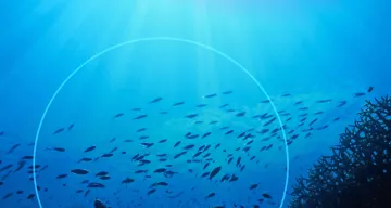 White River Marine Groups Solutions > Hero Banner > Dassault Systèmes®