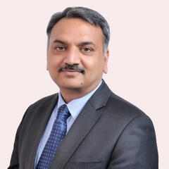 Tanuj MITTAL > Speaker > Dassault Systèmes®