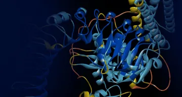 Accelerating Drug Discovery Development > Hero Banner > Dassault Systèmes®