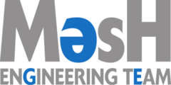 Mesh Engineering Team > Logo > Dassault Systèmes®